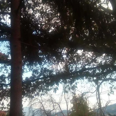 Holiday Dovbenko Vogošća