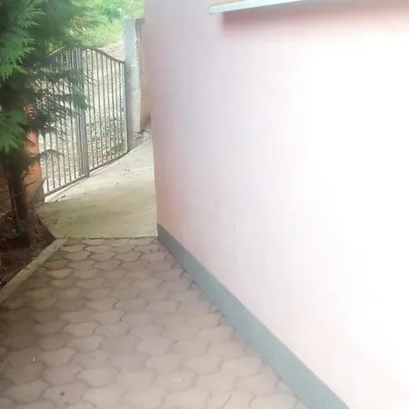 Holiday Dovbenko *
