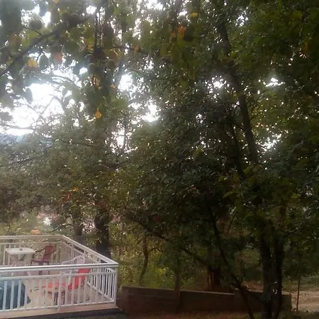 Holiday Dovbenko Villa