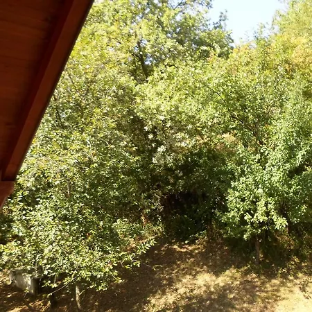 Villa Holiday Dovbenko Vogošća